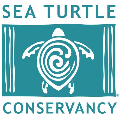 organizations that help sea turtles|About the Sea Turtle Conservancy – Sea Turtle Conservancy.